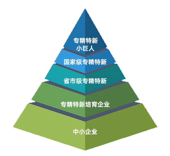 省级名单！莒南这些优秀企业上榜-山(shān)东省2023年度专精特新(xīn)中小(xiǎo)企业公示名单